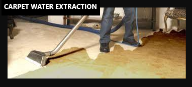 carpet water extraction