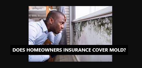 Does your homeowners insurance cover mold'