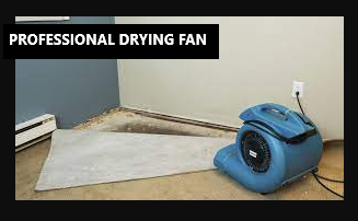 HOW TO DRY OUT CARPET